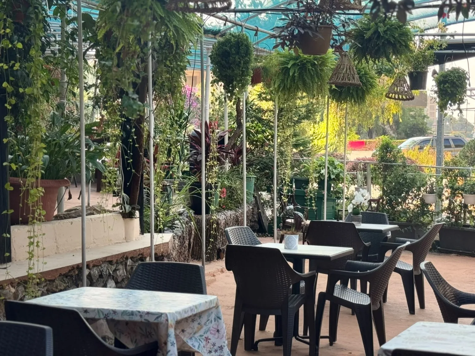 Leafy garden seating at Kooz Café