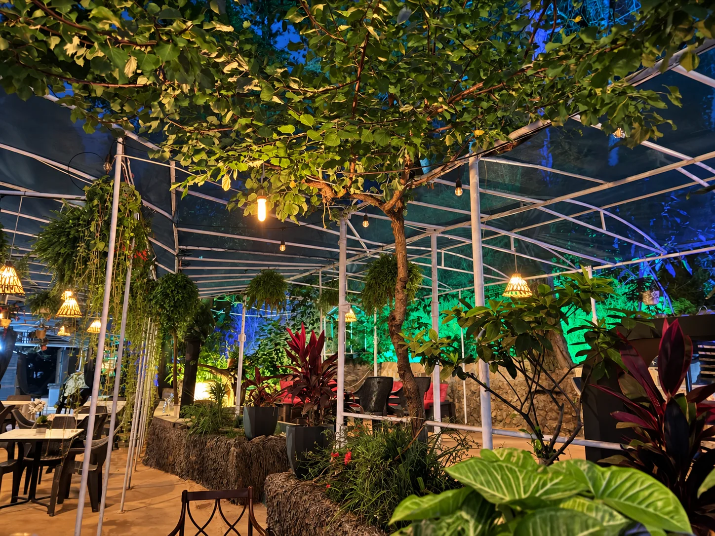 Kooz garden seating beneath warm pendant lights